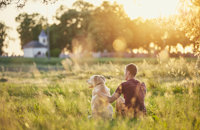 Man and dog at sunset
