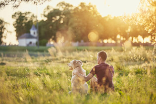 Man and dog at sunset