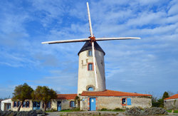 Sallertaine