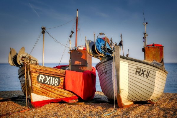 Fishing boats