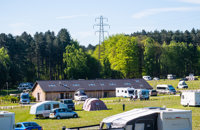 Camping in the Forest