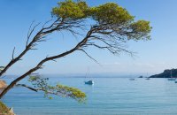Poquerolles Island