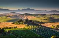 Val d'Orcia Vineyards