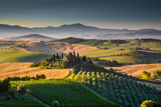 Val d'Orcia Vineyards