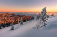 Black Forest, Germany