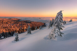 Black Forest, Germany