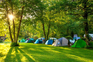 Tents on campsite