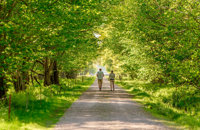 Couple walking in Spring