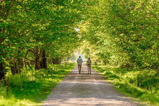 Couple walking in Spring