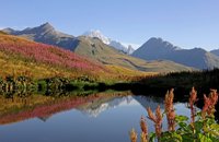 Mont Blanc reflections
