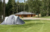 Whitefield Forest Touring Park