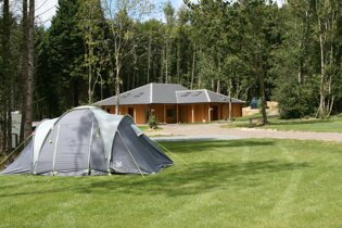 Whitefield Forest Touring Park