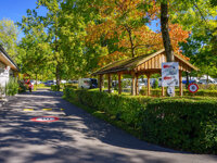 Camping International Lido Luzern
