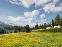 Camping Saint Cassian