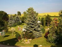 Camping Country