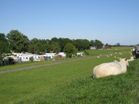 Elbdeich Camping Kollmar