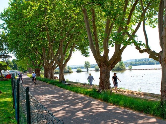 Campingplatz Geisenheim