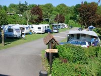 Terrassen Campingplatz Herbolzheim