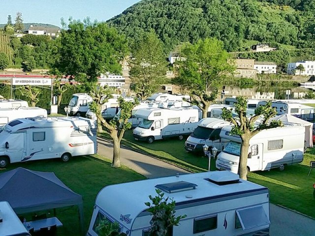 Bären Camp