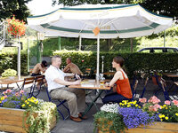 Mosel Camping Cochem