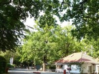 Camping München-Obermenzing