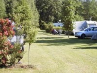 Spessart-Camping Schönrain