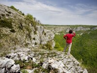 Henne Strand Camping & Resort