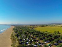 Camping la Ballena Alegre