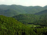 Camping Bassegoda Park