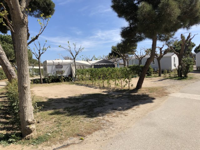 Camping 3 Estrellas
