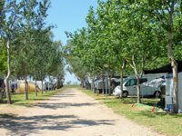 Camping Eucaliptus