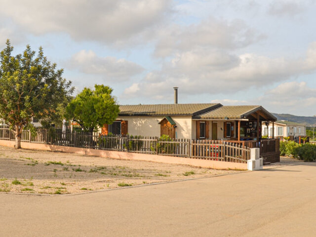 Los Olivos de Xivert