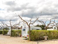 Camping Alegria del Mar