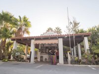 Malvarrosa de Corinto Camping