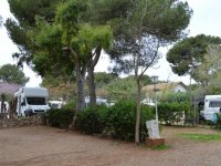 Los Pinos Camping Alicante