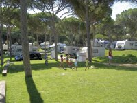 Camping Pinar San José