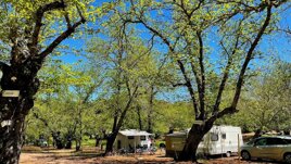 Camping El Madroñal
