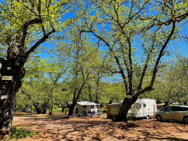 Camping El Madroñal