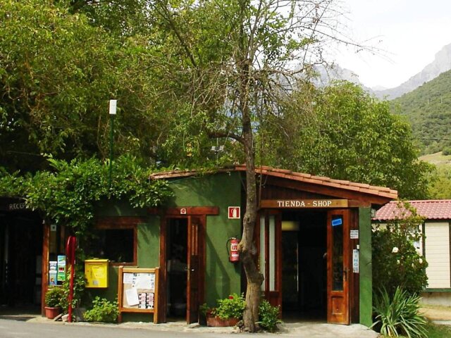 Camping la Isla Picos de Europa