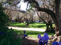 Camping Alquézar