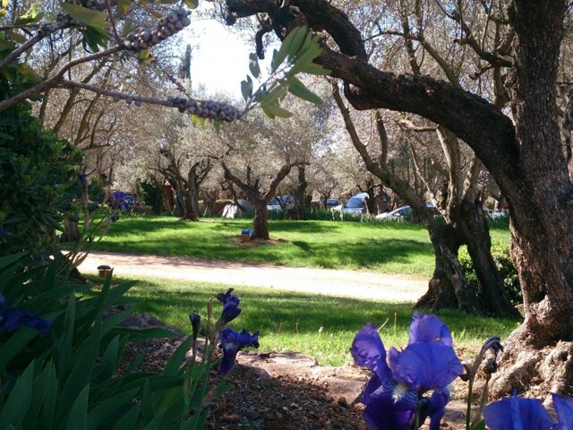 Camping Alquézar