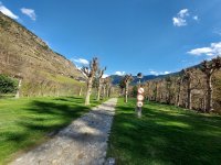Camping Solau