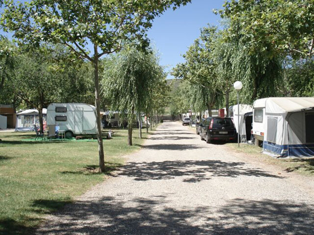 Camping Navarrete