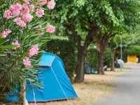 Camping La Paoute