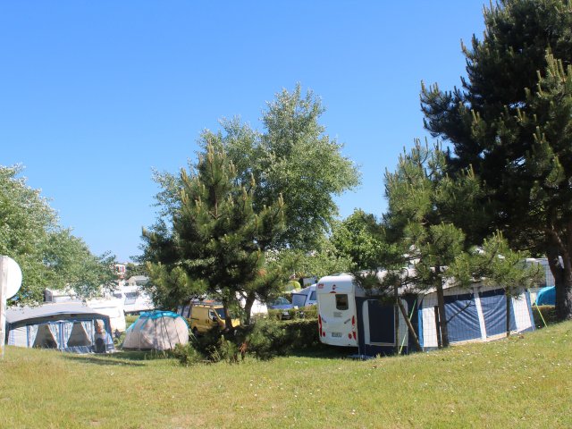 Camping Oasis