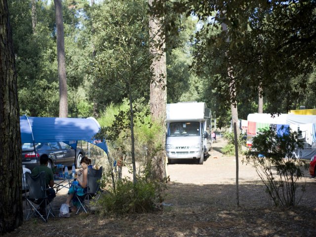 Camping Huttopia Chardons Bleus - Ile de Ré