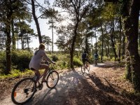 Camping Huttopia Oléron Les Chênes Verts