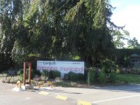 Camping Municipal les Cent Vignes