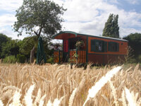 Domaine Arvor