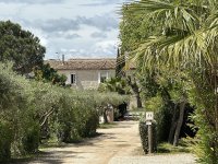 Flower Camping Mas de Mourgues